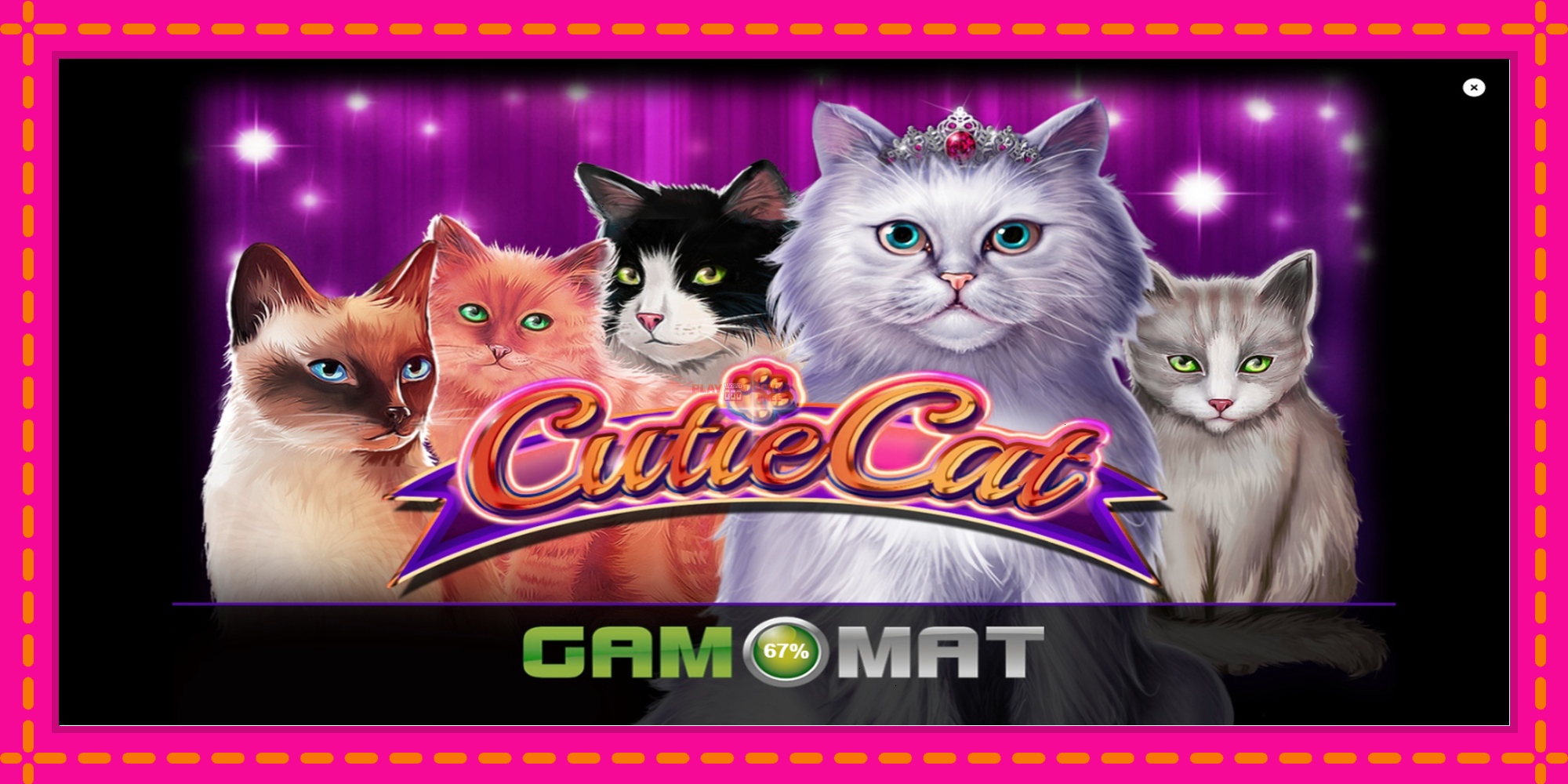 Безплатна игра в Cutie Cat без регистрация, картина 1