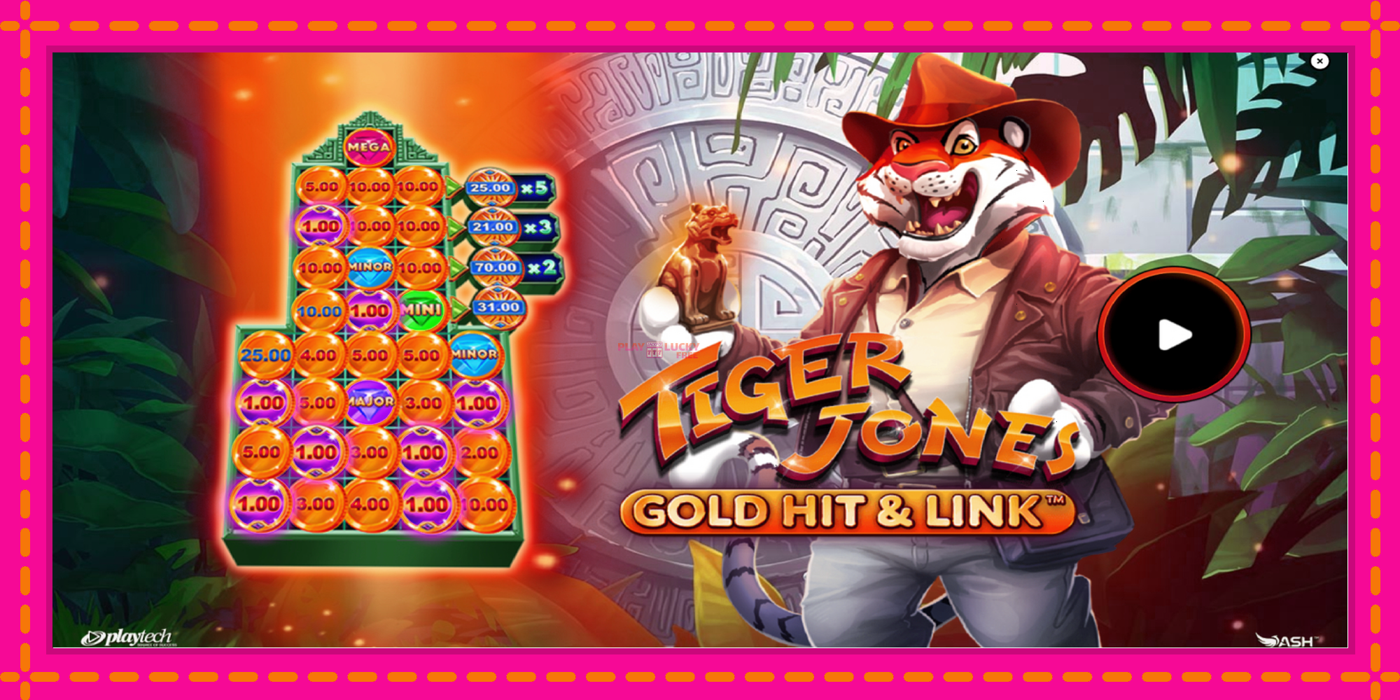 Безплатна игра в Gold Hit & Link: Tiger Jones без регистрация, картина 1