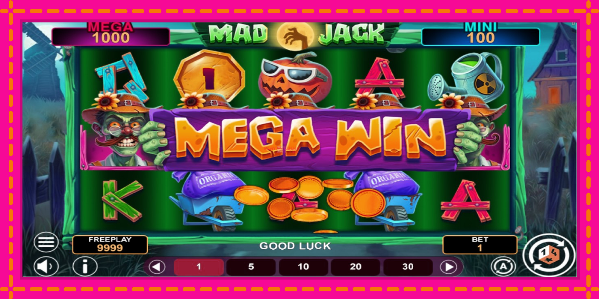 Безплатна игра в Mad Jack Hold & Win без регистрация, картина 2